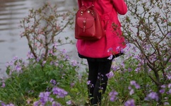 qovd播放器免费下载